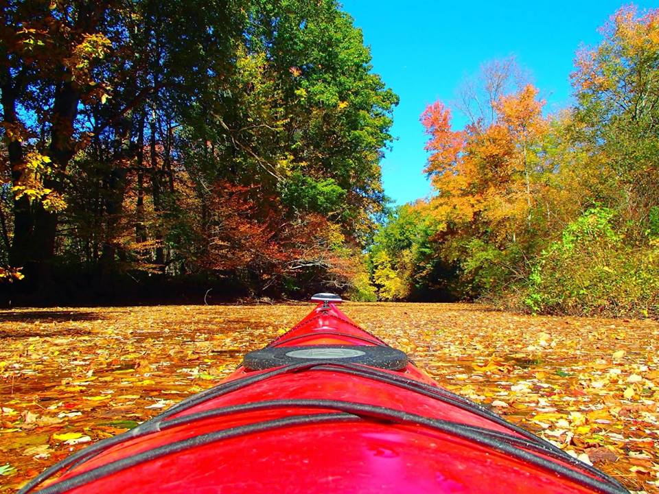 Rocktown Adventures | Fall Photo Contest